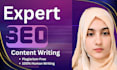 do expert SEO content writing and article writing