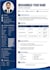 make a professional cv for jobs