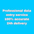 do accurate data entry and excel spreadsheet work