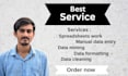 do web scraping, data extraction, data collect from  website