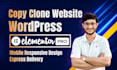 design, redesign, or copy clone website professionally using elementor pro