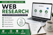 do professional web research and internet research