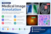 annotate medical images with precise masks, polygons and bounding boxes