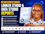 professional google looker studio dashboard, for business