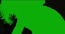 do rotoscoping, chroma key and green screen removal