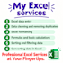 do excel data entry, cleaning, formatting and formulas