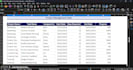 do excel data cleaning and  excel data formatting