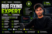 fix bugs, errors and improve your web application
