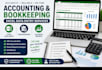 do professional accounting, bookkeeping and excel data entry