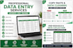 do accurate data entry, copy paste, web research and excel work