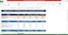 build a custom excel or streamlit dashboard