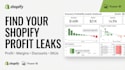 find profit leaks in your shopify data