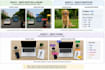 do accurate data annotation and image labeling