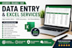 do accurate data entry and excel spreadsheet work