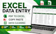 excel data entry, PDF to excel, copy paste, data  cleaning