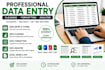 do professional data entry, data cleaning, data enalysis
