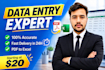 do  data entry ,excel, PDF to excel and web search