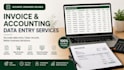 invoice and accounting data entry in excel and software