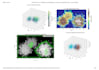 do 3d tree crown delineation and lidar point cloud segmentation