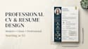 design a professional modern CV resume