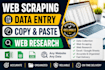 do data entry, copy paste, web research and web scraping