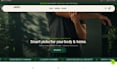build shopify store, shopify store design, e commerce shopify
