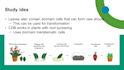 create professional biology powerpoint presentations
