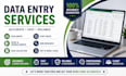 do data entry, copy paste, web research and excel work