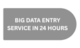 do scalable big data entry service in 24 hours