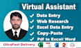 do excel data entry, web research and copy paste tasks