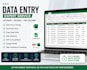 do accurate data entry and excel data processing