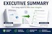 turn your report into a clear professional executive summary