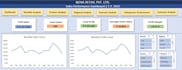 create a professional excel dashboard and data analysis report