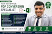 excel data entry PDF conversion specialist