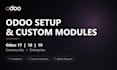 do odoo setup, customization and module development