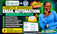setup brevo wordpress email automation SMTP forms newsletter