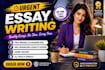 do urgent essay writing, research, summary and case study