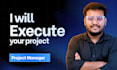 execute your project as an experienced project manager