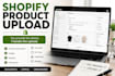 upload products to your ecommerce store properly