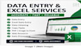 do data entry, excel spreadsheet and data cleaning