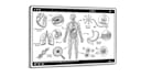 make white board animation or medical explainer videos