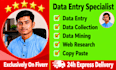 provide professional data entry web research and data scraping
