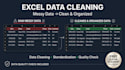 clean, organize, format and standardize your excel data