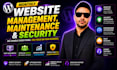 do monthly website management maintenance and security