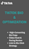 do a professional tiktok audit and optimize your business bio