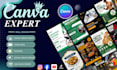 design social media posts and canva templates