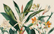 illustrate best botanical illustration
