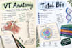 draw accurate medical human and veterinary anatomy and body organs diagrams