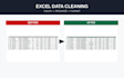 clean, organize and format your excel data professionally