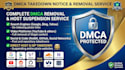 protect your copyright and send dmca notices